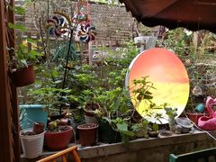 -鱼乐岛餐厅·户外花园主题餐厅