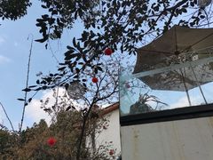 -云里小坐·小院里·团建·宴请·下午茶(三圣乡店)