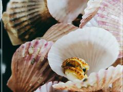 -兆辉木炭海鲜烧烤·海鲜小炒