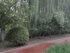 -南翠屏公园