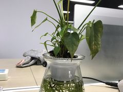 -瑞幸咖啡(云密城J栋店)