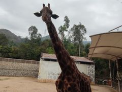 -泉州海丝野生动物世界