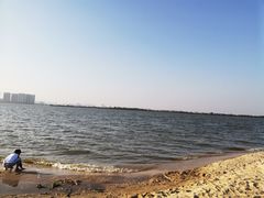 -瑶湖郊野森林公园