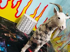 -艺仓美术馆