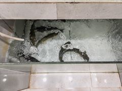 -银峰农庄·特色烧鸡·鲜无花果浸鸡