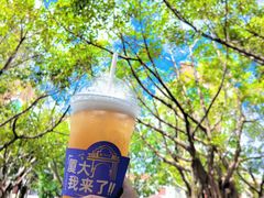 -厦门大学(思明校区)