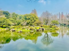 -杭州植物园