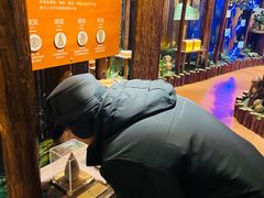 -黄海国家森林公园