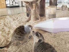 -海合安武汉极地海洋公园