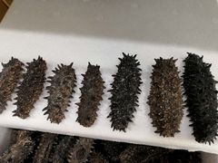 -宫品海参专卖店(静安大宁店)