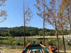 -牛岗山公园