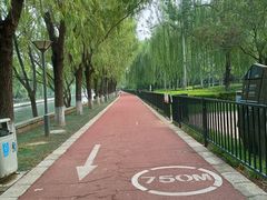 -南长河公园