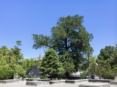 -北京凤凰岭