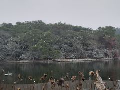 -广州莲花山旅游区