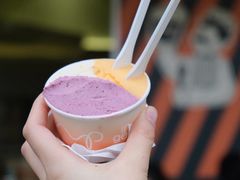 莓果与柑橘-Dip in Gelato(富民路店)