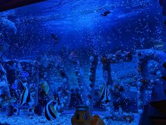 -太平洋海底世界