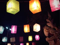 -纳兰傣雀傣味餐厅