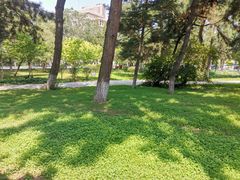 -东北大学(南湖校区)
