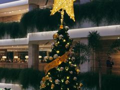 -广州白天鹅宾馆