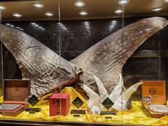 -半岛翡丽海鲜自助餐厅(观风亭店)
