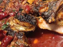 -鱼酷活鱼烤鱼(南京水游城店)