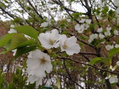 -九里河湿地公园