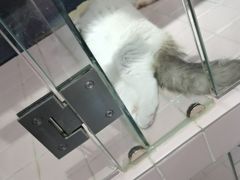-FAELING PETS美天灵宠物(富力广场店)