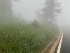 -武陵山森林公园