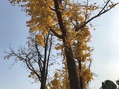 -美兰湖景区