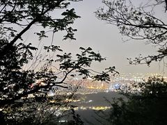 -紫金山山顶公园