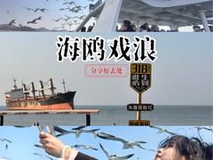 -海驴岛(荣成市)