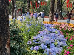 -荔湾湖公园