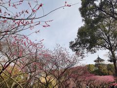 -无锡梅园公园