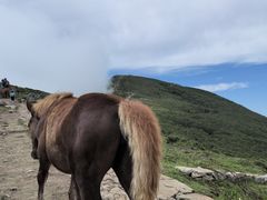 -灵山