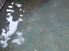 -弘安丽水温泉酒店