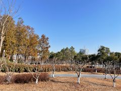 -春花秋色城市公园