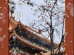 -故宫博物院(故宫)