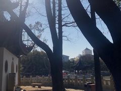 -汇龙潭
