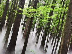 -东湖落雁景区