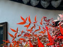 -绮园景区