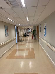 点击看大图 -杭州贝瑞斯美华妇儿医院·早孕·产检·儿科