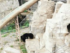 -石家庄市动物园