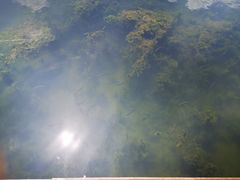-后海公园