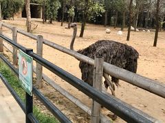 -大连森林动物园