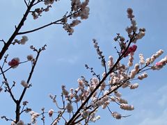 -洛龙公园