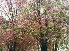 iphone_upload_pic-华南师范大学(广州大学城校区)