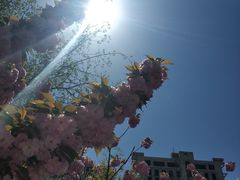 -西海子公园