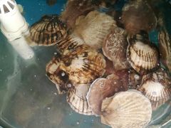 -聚德福海鲜家常菜(刘庄店)