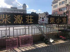 -柴源莊·柴小宠柴犬咖啡