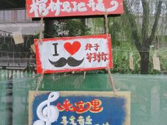 -台儿庄古城